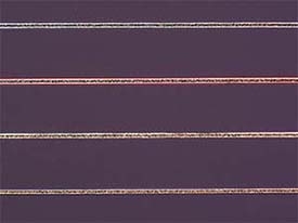 厚さ:200nm Au膜剥離幅:30µm