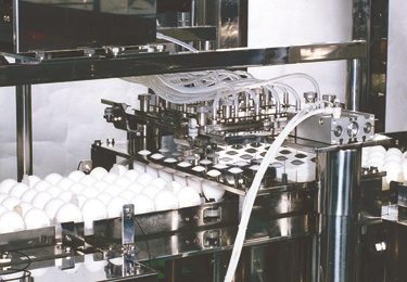 ワクチン製造設備（鶏卵設備）” data-file-id=