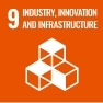 SDGs9